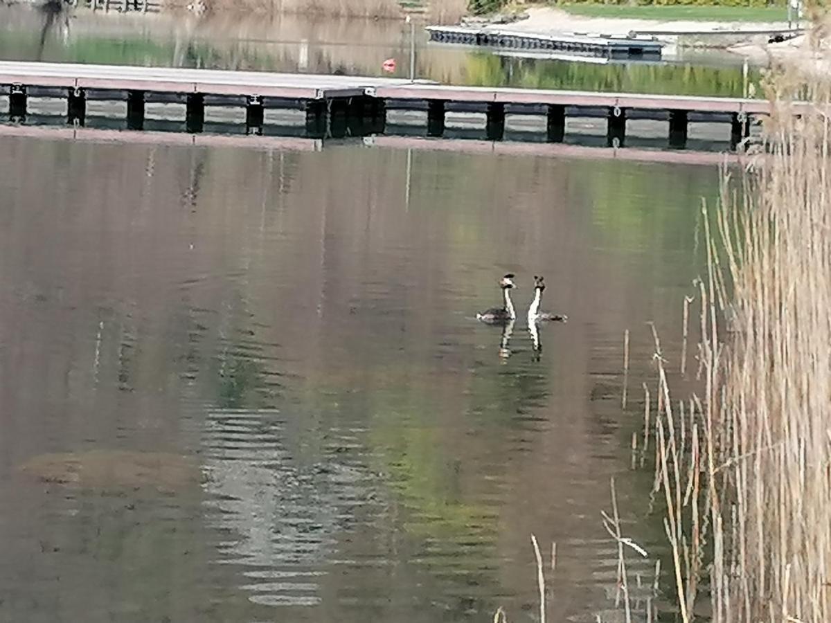 Ca' Dei Cigni Appartement Calceranica al Lago Buitenkant foto